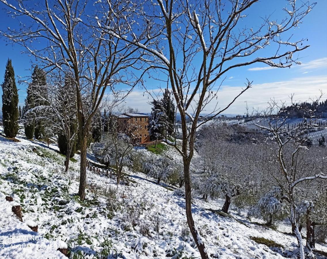 Bed and Breakfast Rocca Degli Olivi Сан-Джиминьяно Экстерьер фото