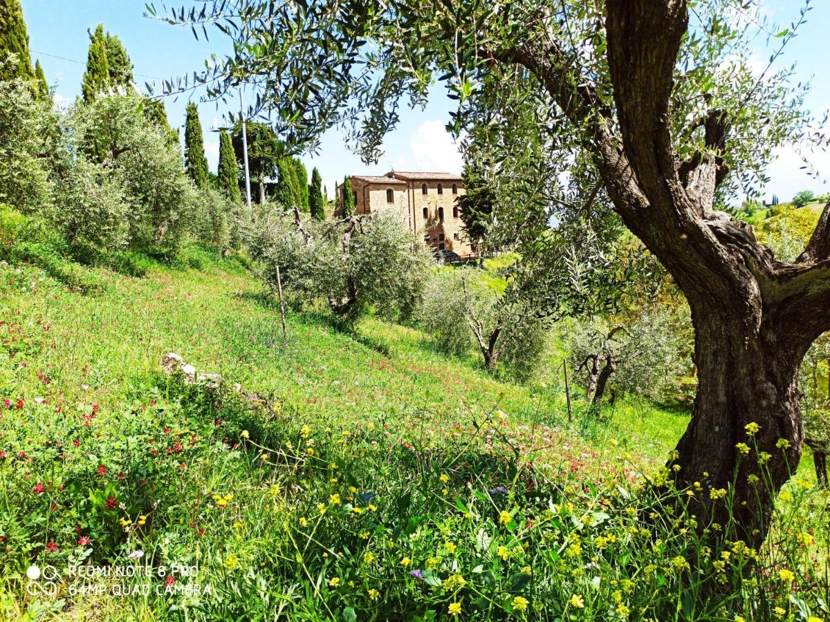 Bed and Breakfast Rocca Degli Olivi Сан-Джиминьяно Экстерьер фото